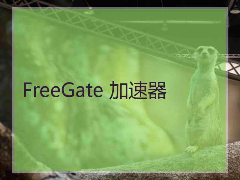 FreeGate 加速器