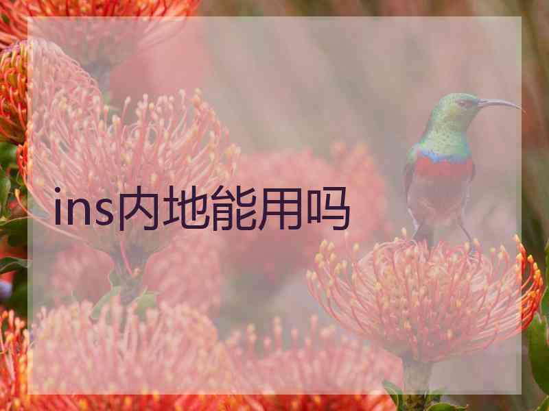 ins内地能用吗