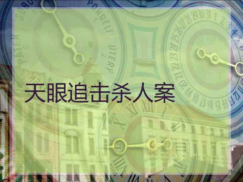 天眼追击杀人案