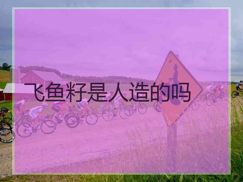 飞鱼籽是人造的吗