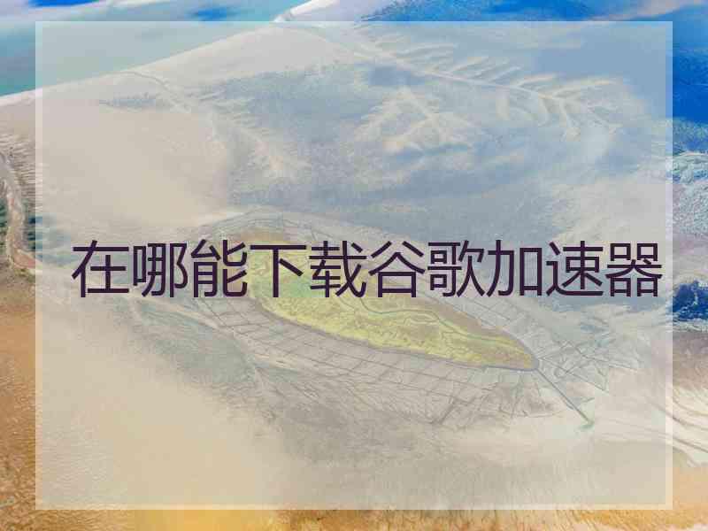 在哪能下载谷歌加速器