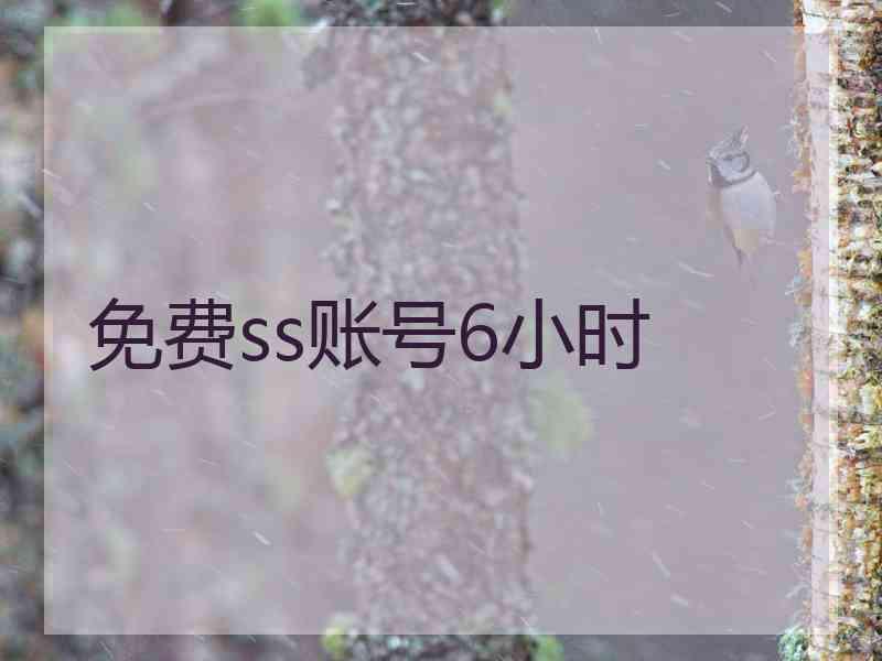 免费ss账号6小时