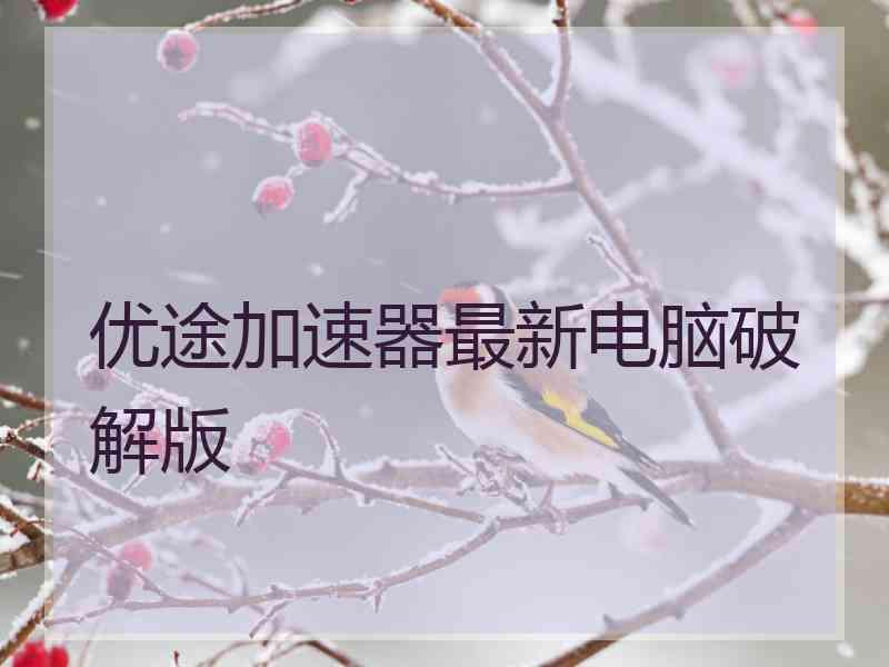 优途加速器最新电脑破解版