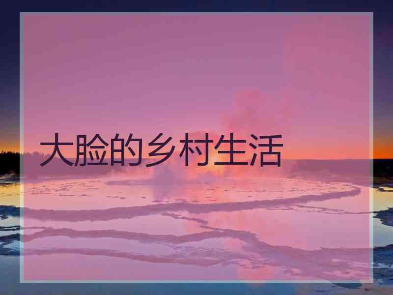 大脸的乡村生活