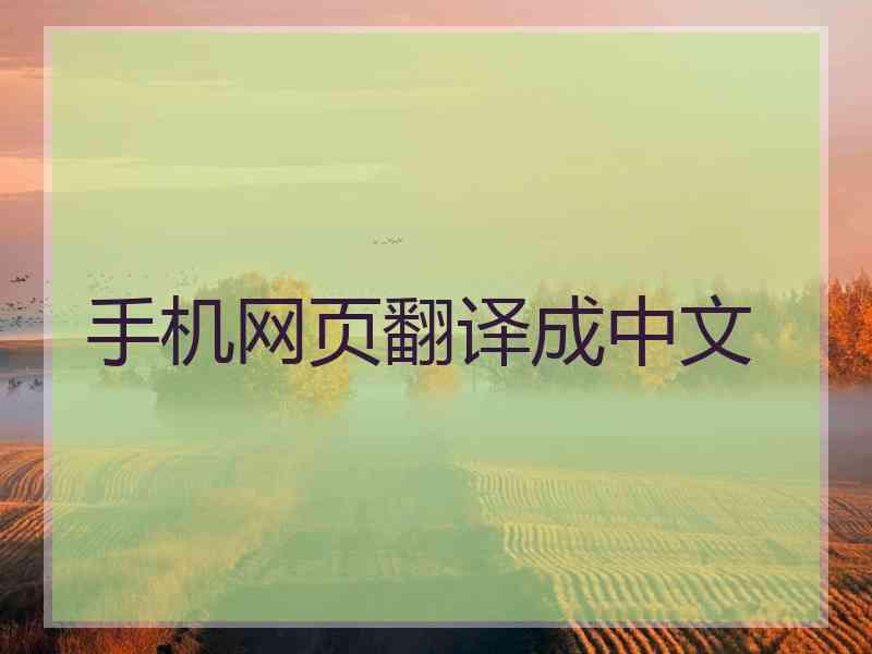 手机网页翻译成中文