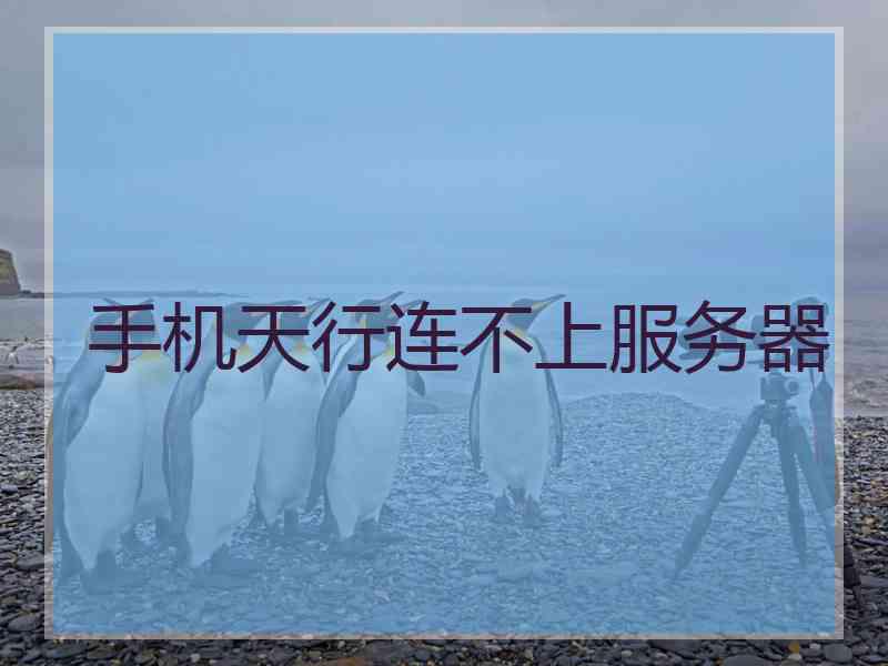 手机天行连不上服务器