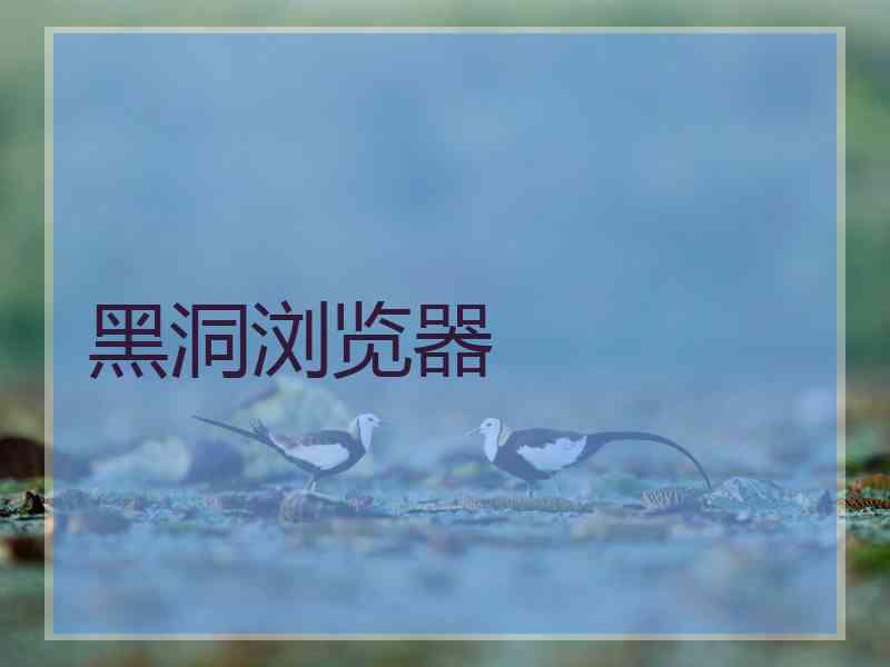 黑洞浏览器