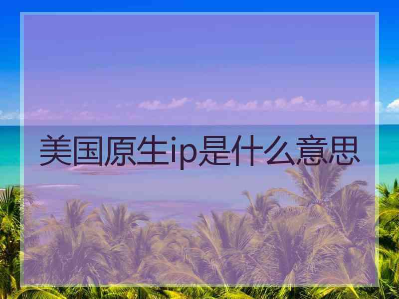 美国原生ip是什么意思