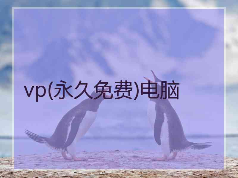 vp(永久免费)电脑