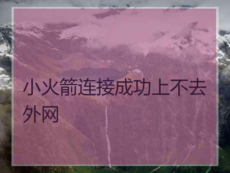 小火箭连接成功上不去外网