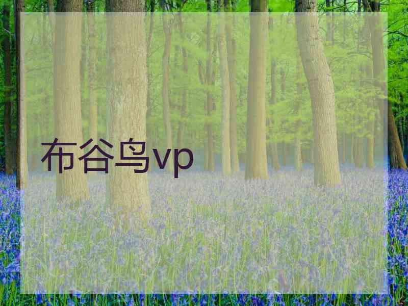 布谷鸟vp