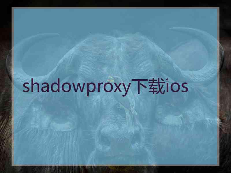 shadowproxy下载ios