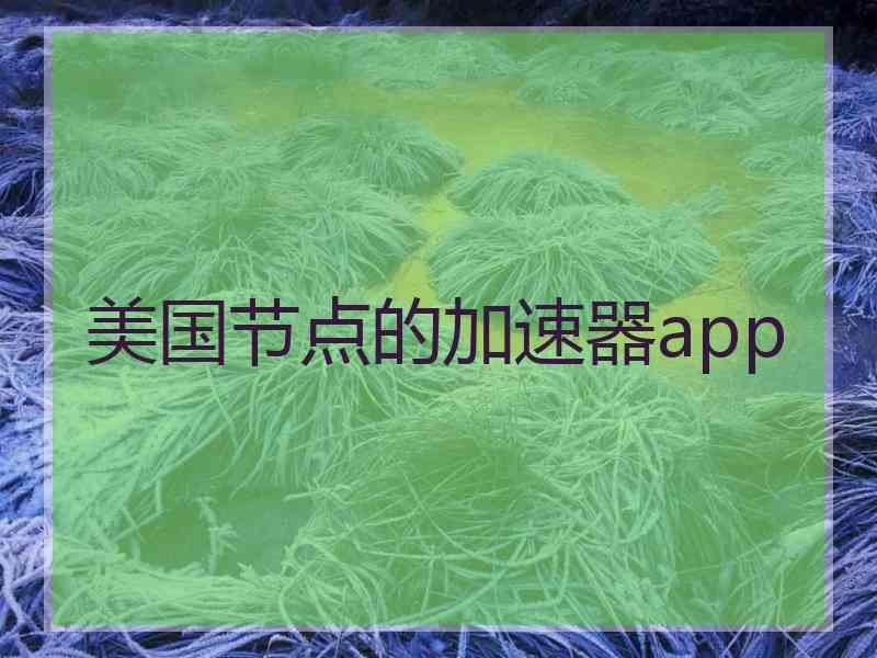 美国节点的加速器app