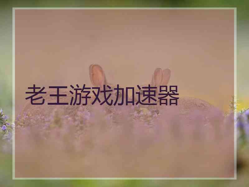 老王游戏加速器