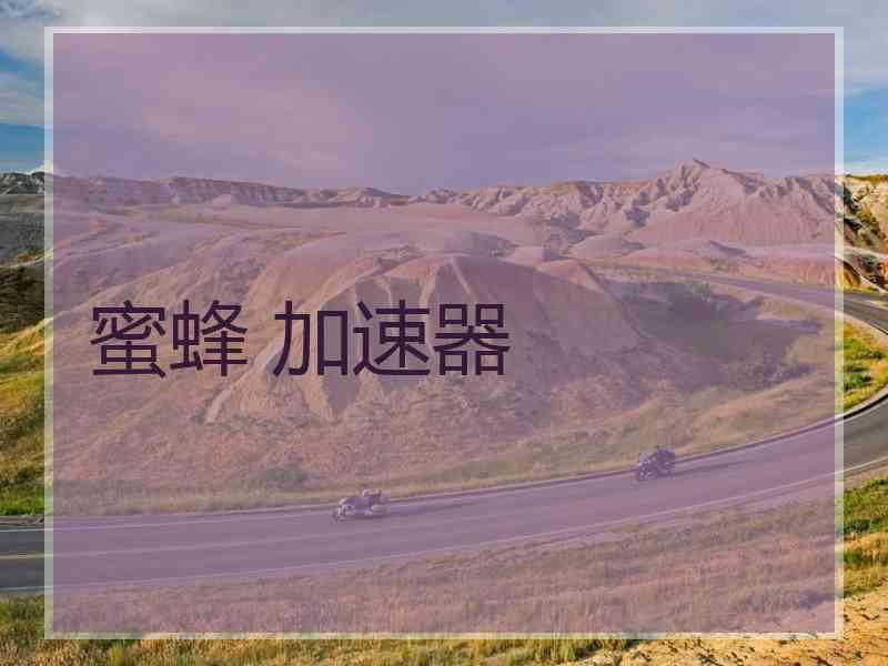 蜜蜂 加速器