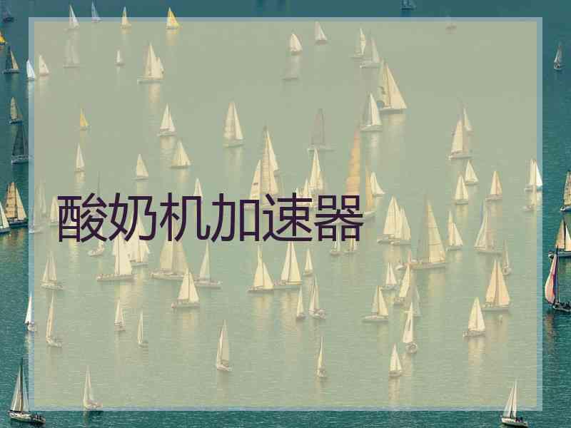 酸奶机加速器