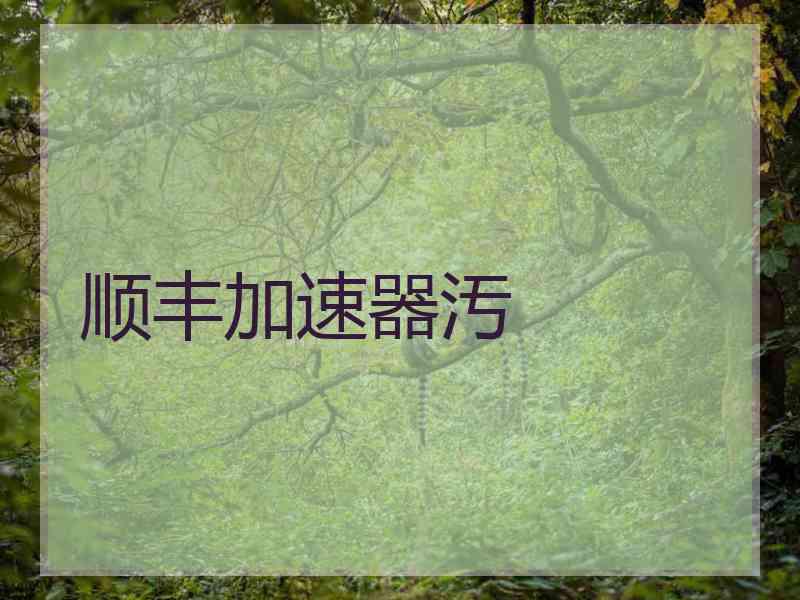 顺丰加速器汚