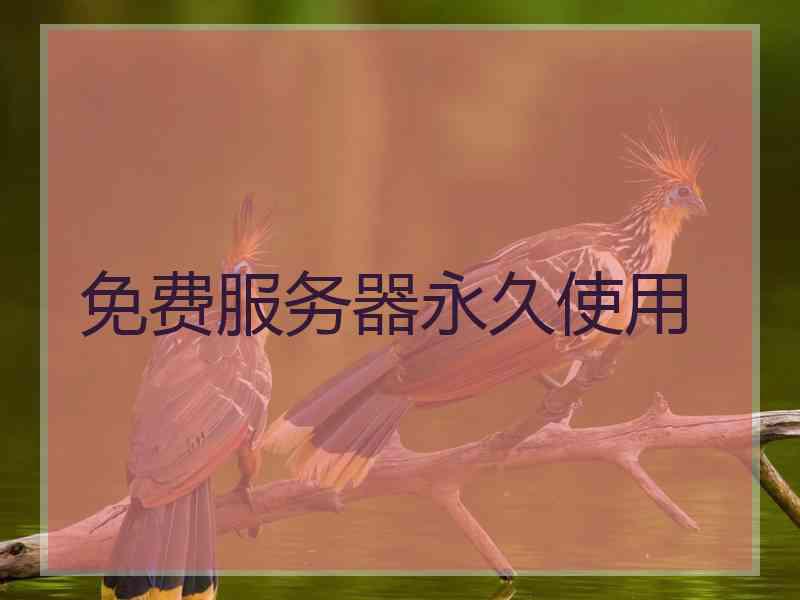 免费服务器永久使用