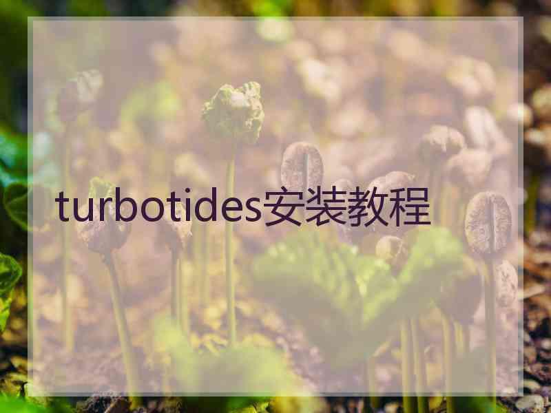 turbotides安装教程