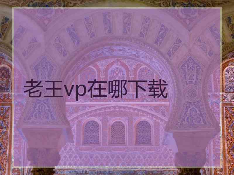 老王vp在哪下载