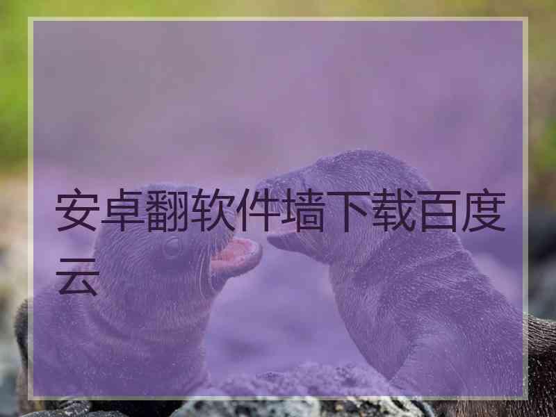 安卓翻软件墙下载百度云