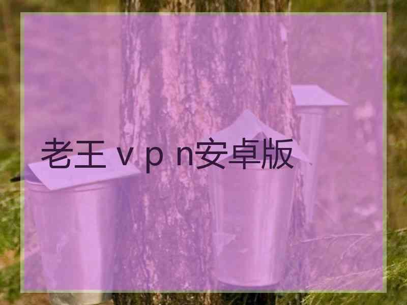 老王 v p n安卓版