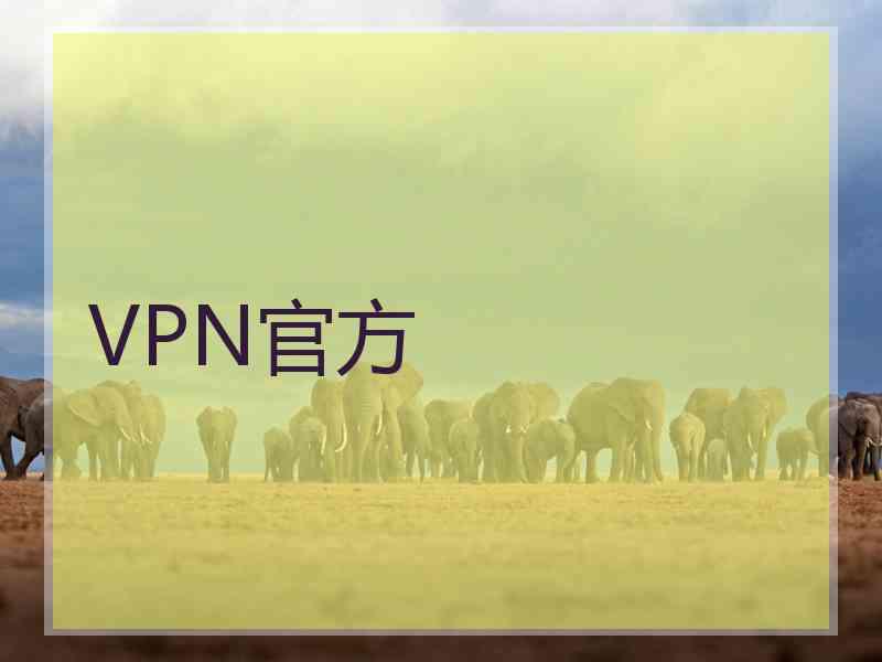 VPN官方
