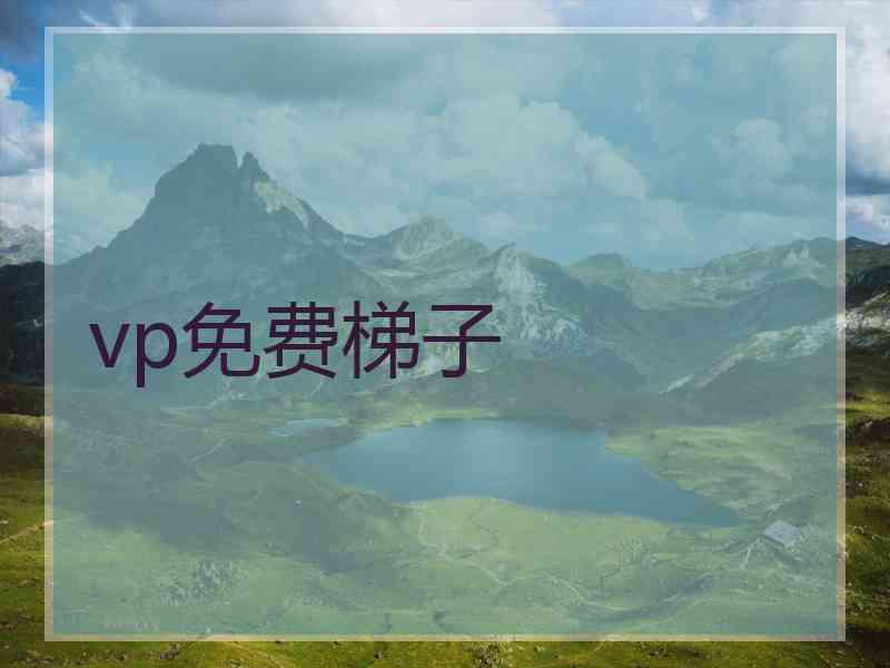 vp免费梯子