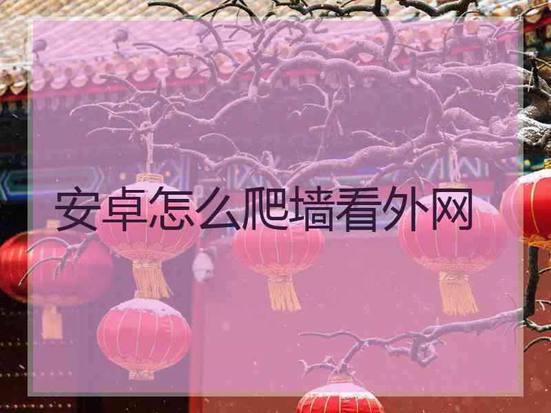 安卓怎么爬墙看外网