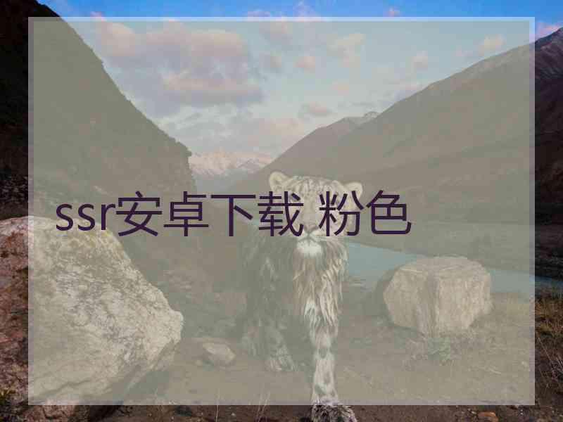 ssr安卓下载 粉色
