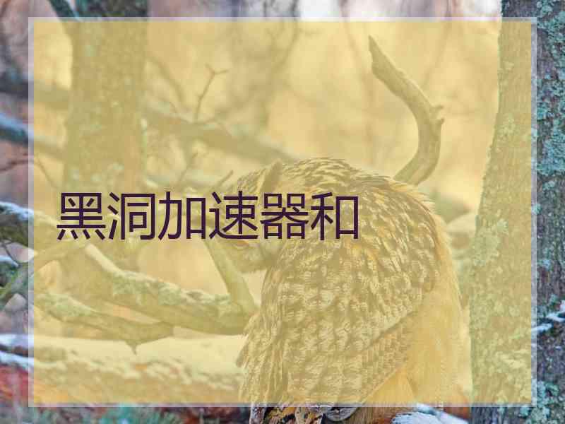 黑洞加速器和