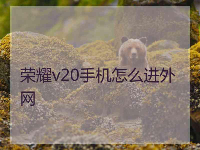 荣耀v20手机怎么进外网