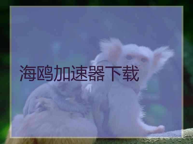 海鸥加速器下载