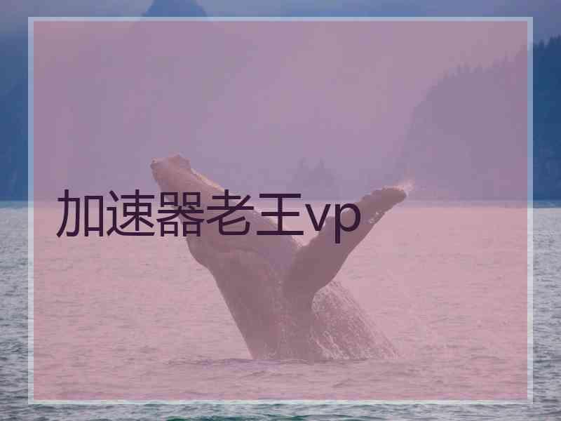 加速器老王vp
