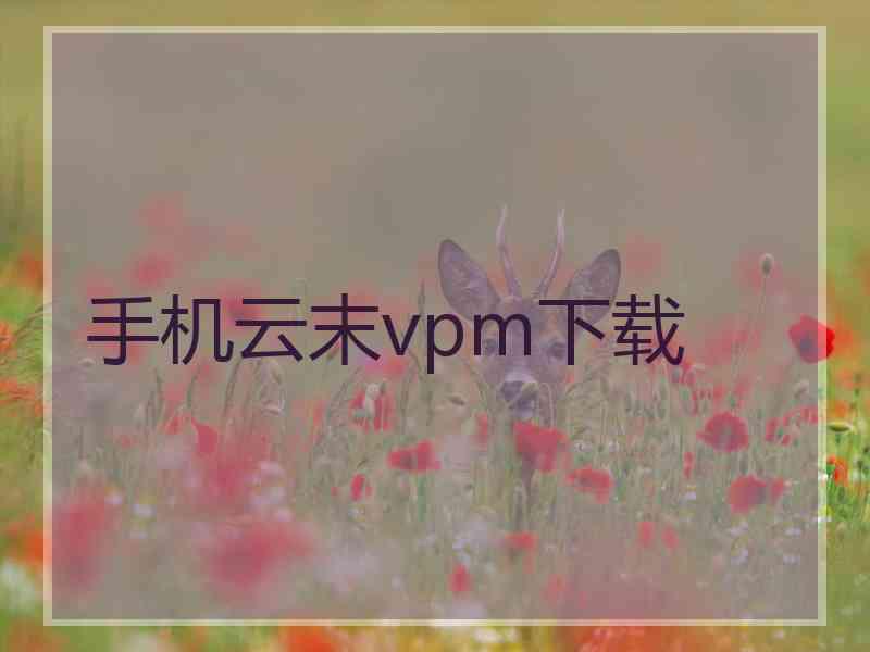 手机云末vpm下载