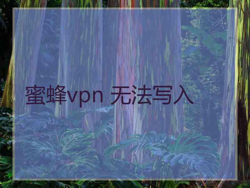 蜜蜂vpn 无法写入