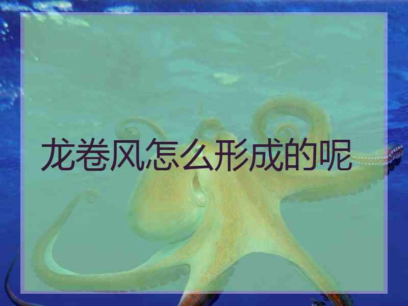 龙卷风怎么形成的呢