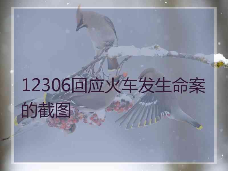 12306回应火车发生命案的截图
