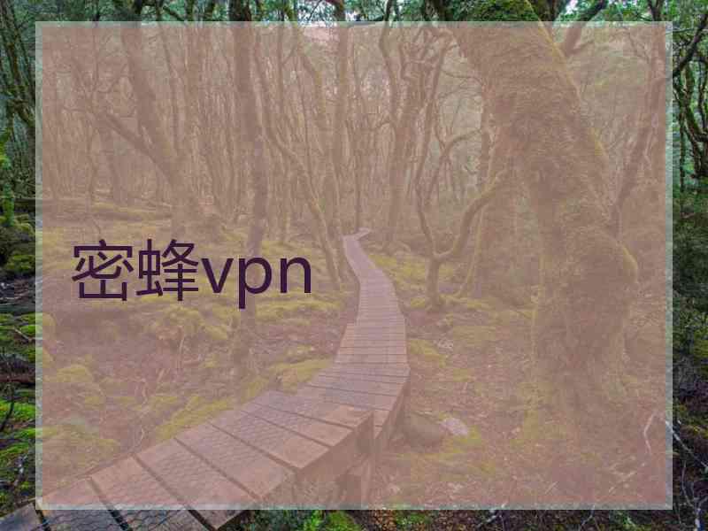 密蜂vpn