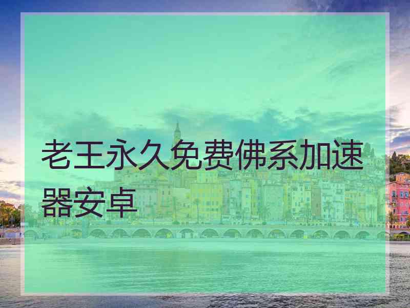 老王永久免费佛系加速器安卓