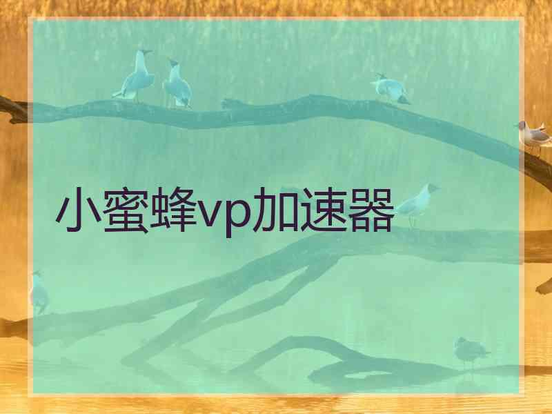 小蜜蜂vp加速器