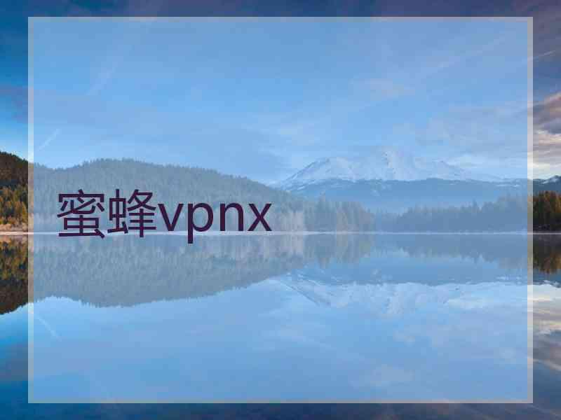 蜜蜂vpnx