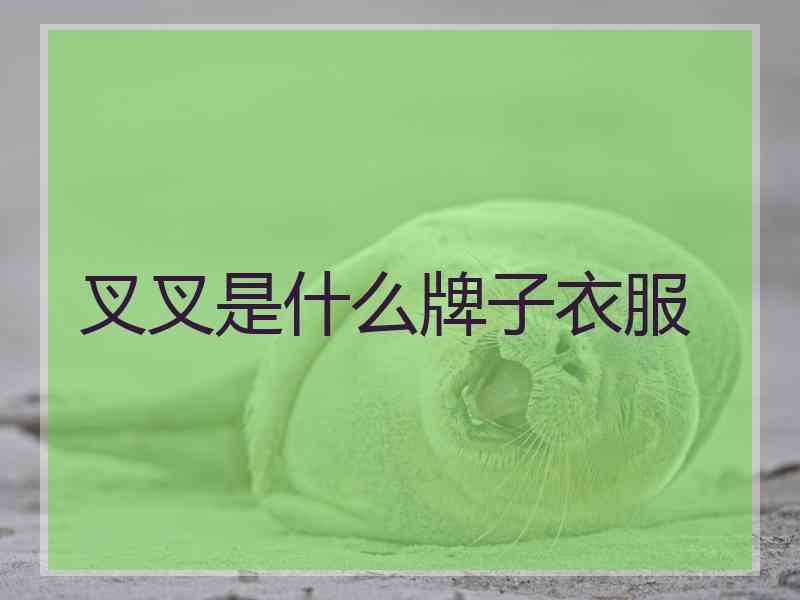 叉叉是什么牌子衣服