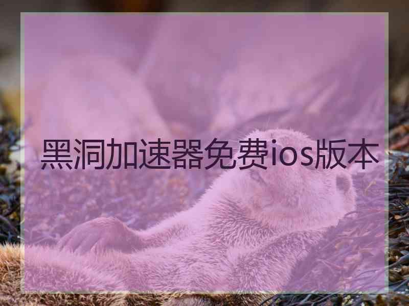 黑洞加速器免费ios版本