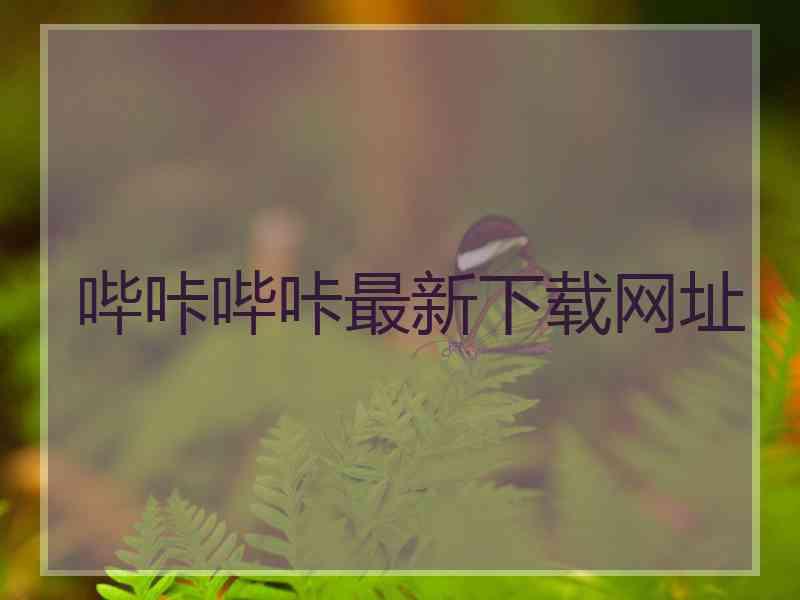 哔咔哔咔最新下载网址