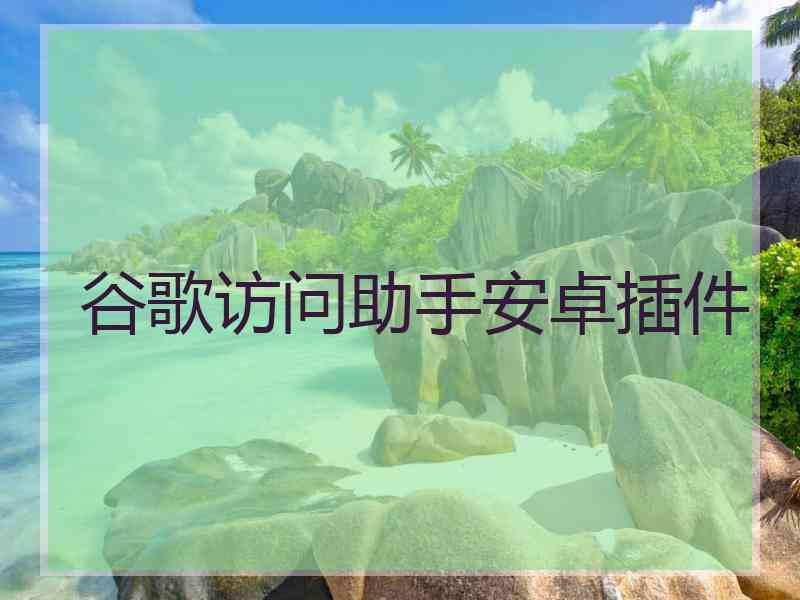 谷歌访问助手安卓插件