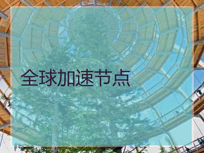 全球加速节点