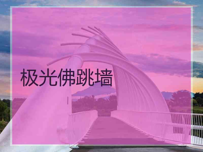 极光佛跳墙