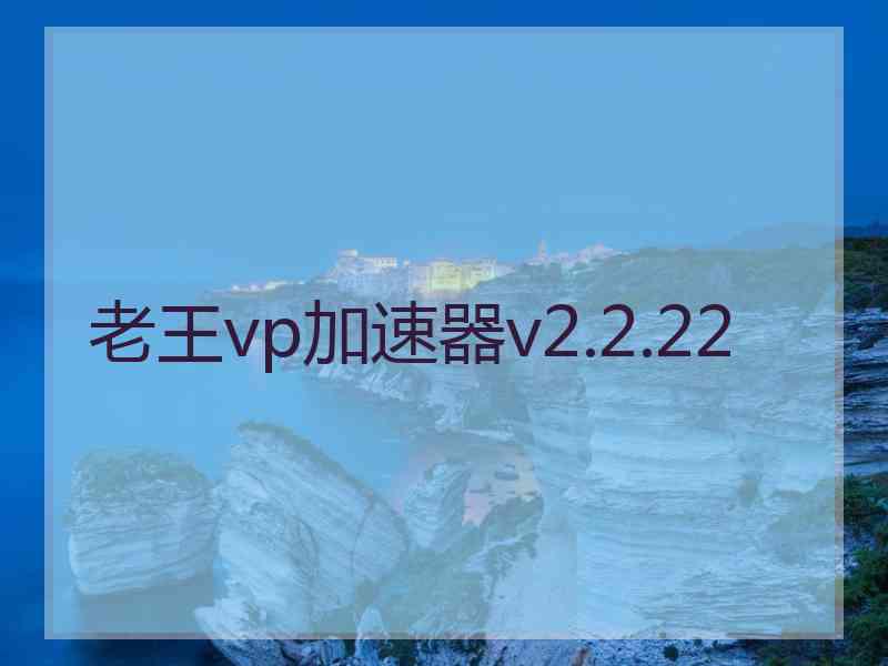 老王vp加速器v2.2.22