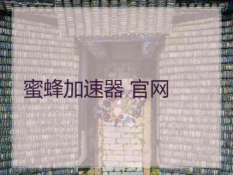 蜜蜂加速器 官网